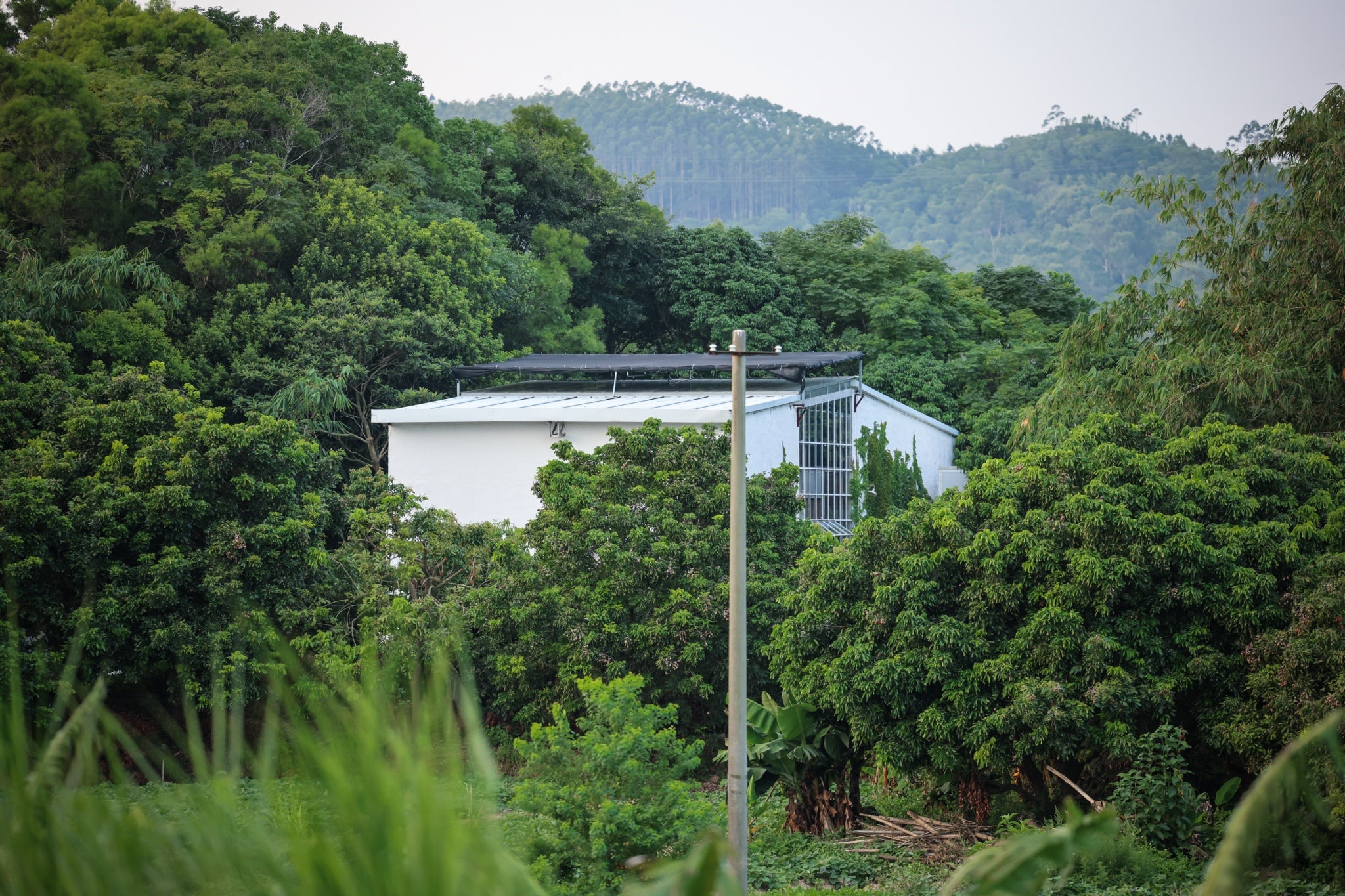 TANLURA rooted in nature