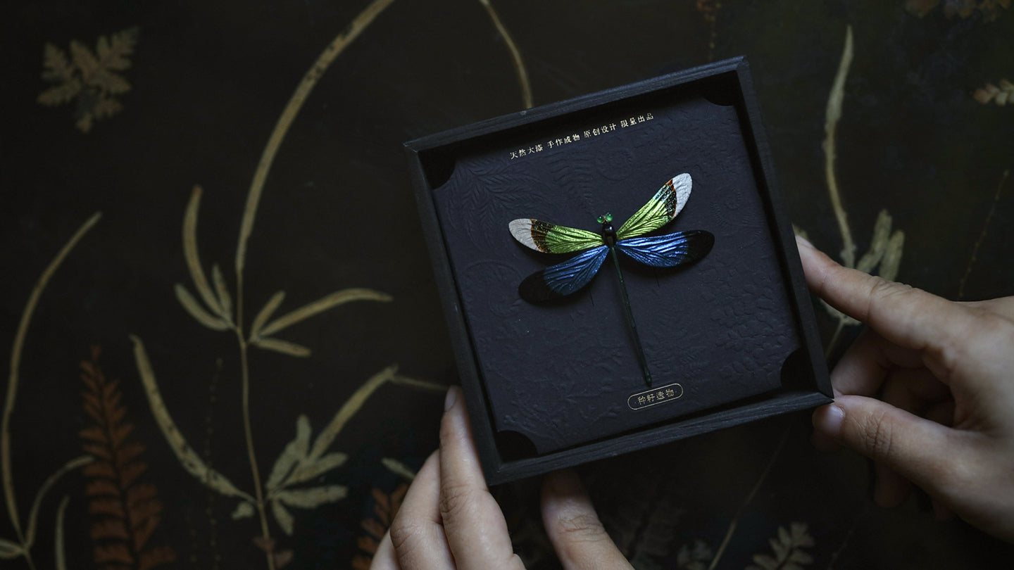 Damselfly — Silver Lacquer Brooch