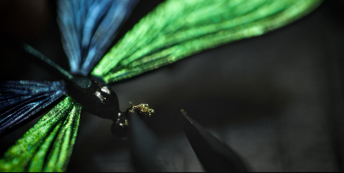 Damselfly — Silver Lacquer Brooch