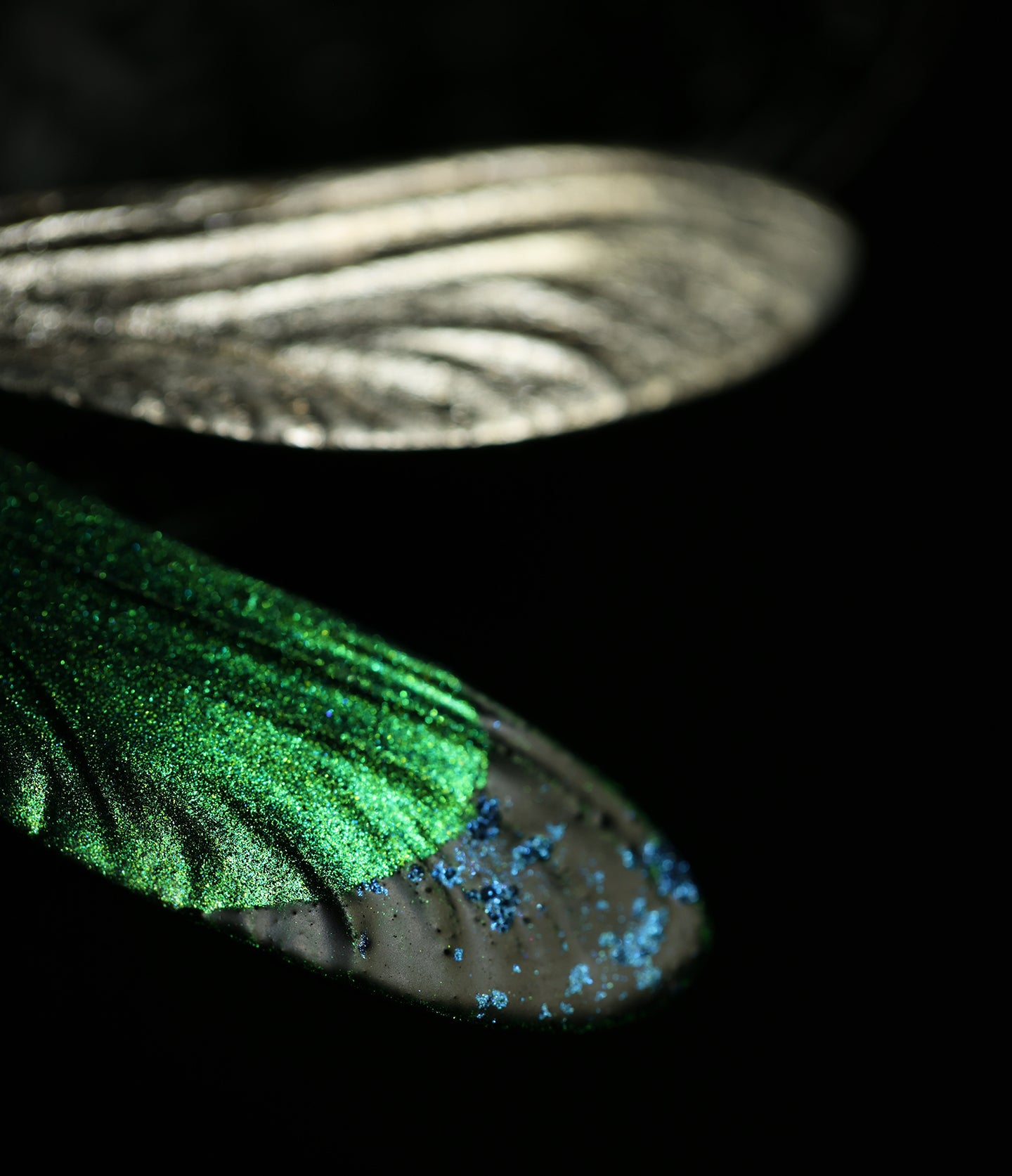 Damselfly — Silver Lacquer Brooch