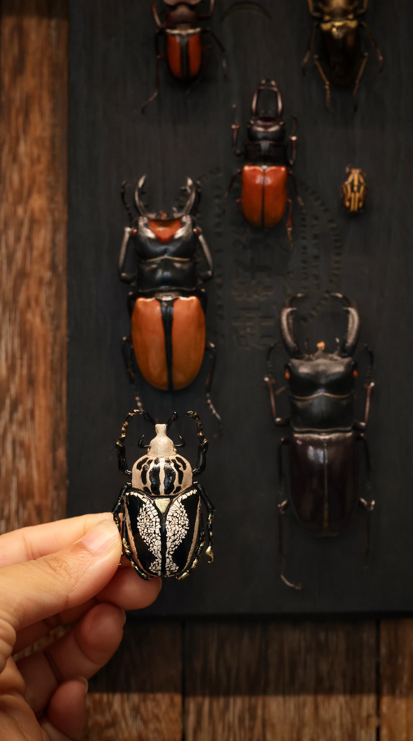 Goliath Beetle — Lacquer Brooch
