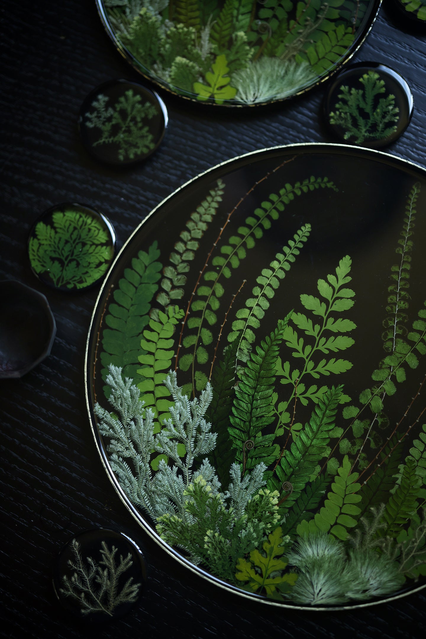 Lacquer Essence Plate — Fern Edition