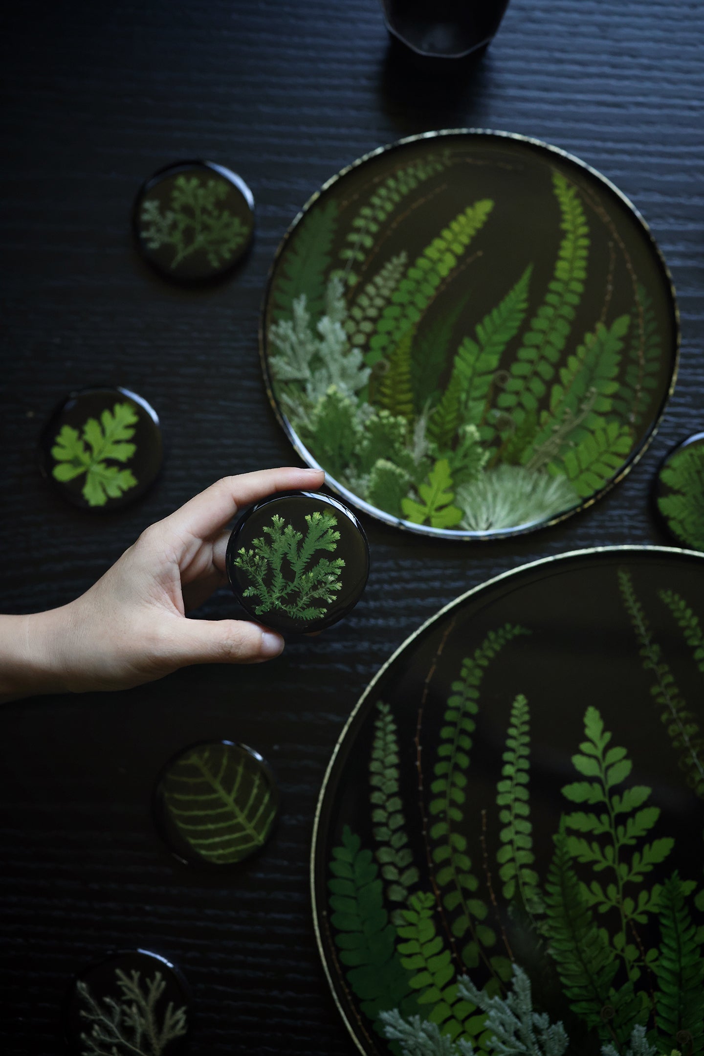 Lacquer Essence Plate — Fern Edition
