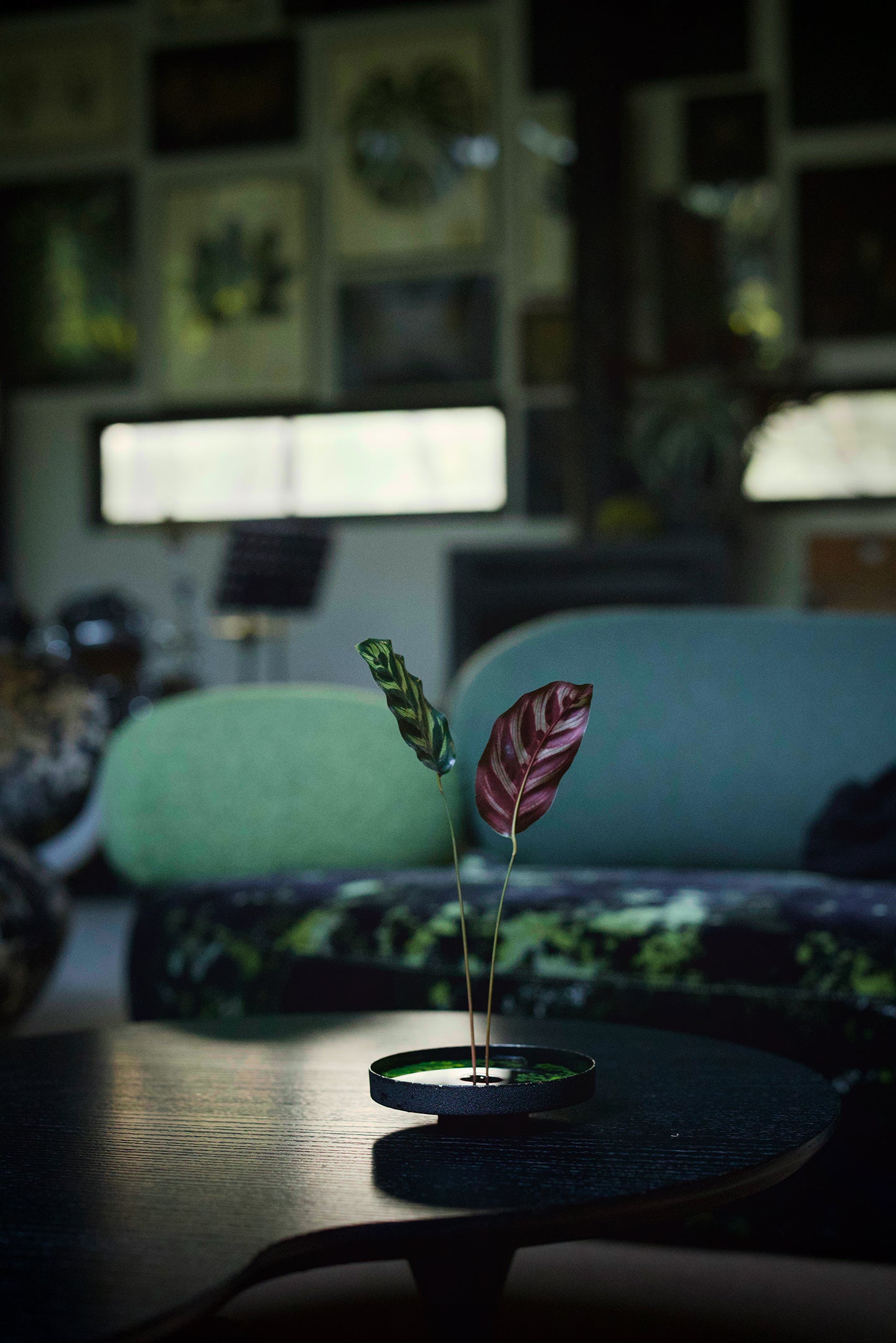 Lacquer Essence Vase — Fern Edition