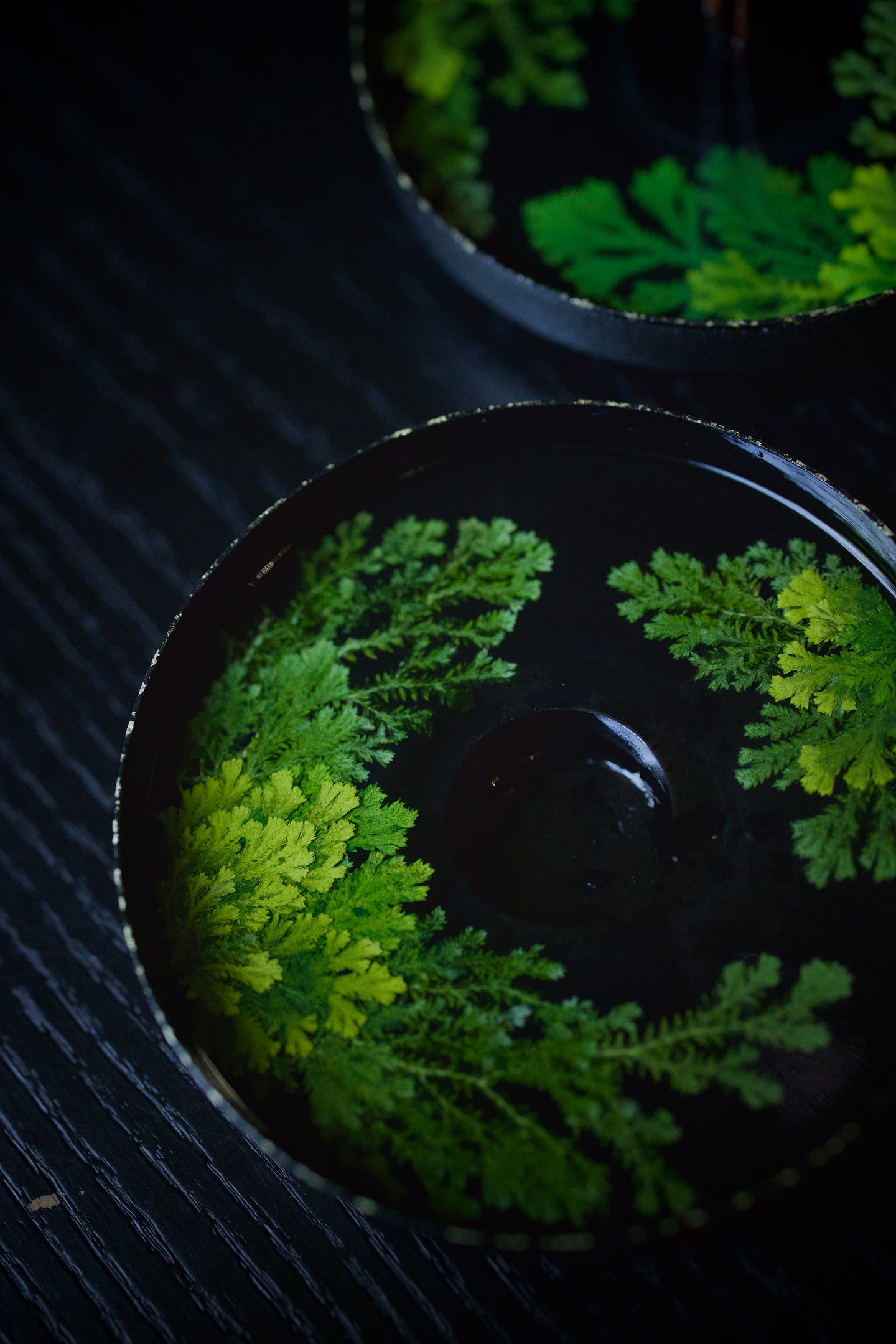Lacquer Essence Vase — Fern Edition