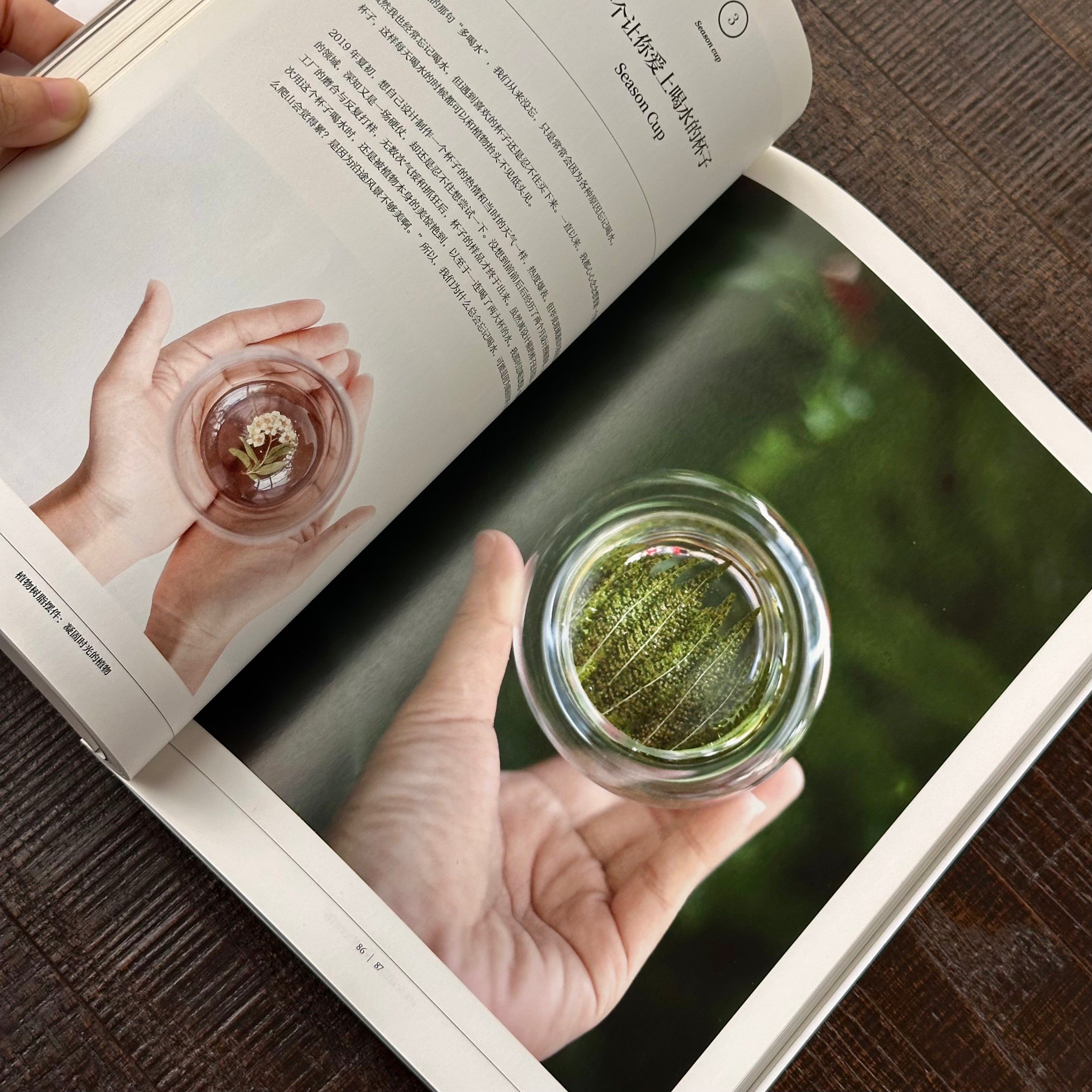 Preserved botanicals book detail