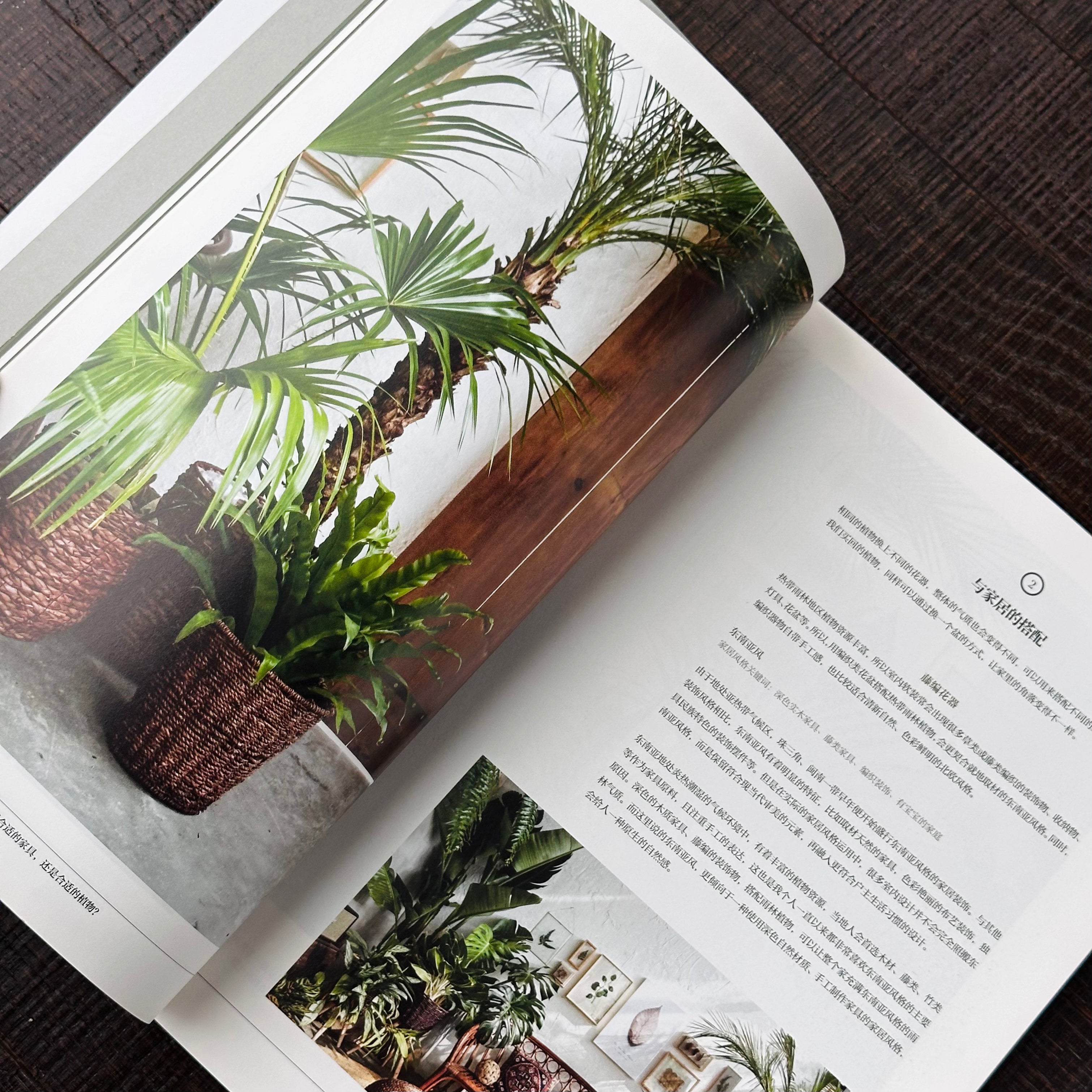 Indoor plant styling