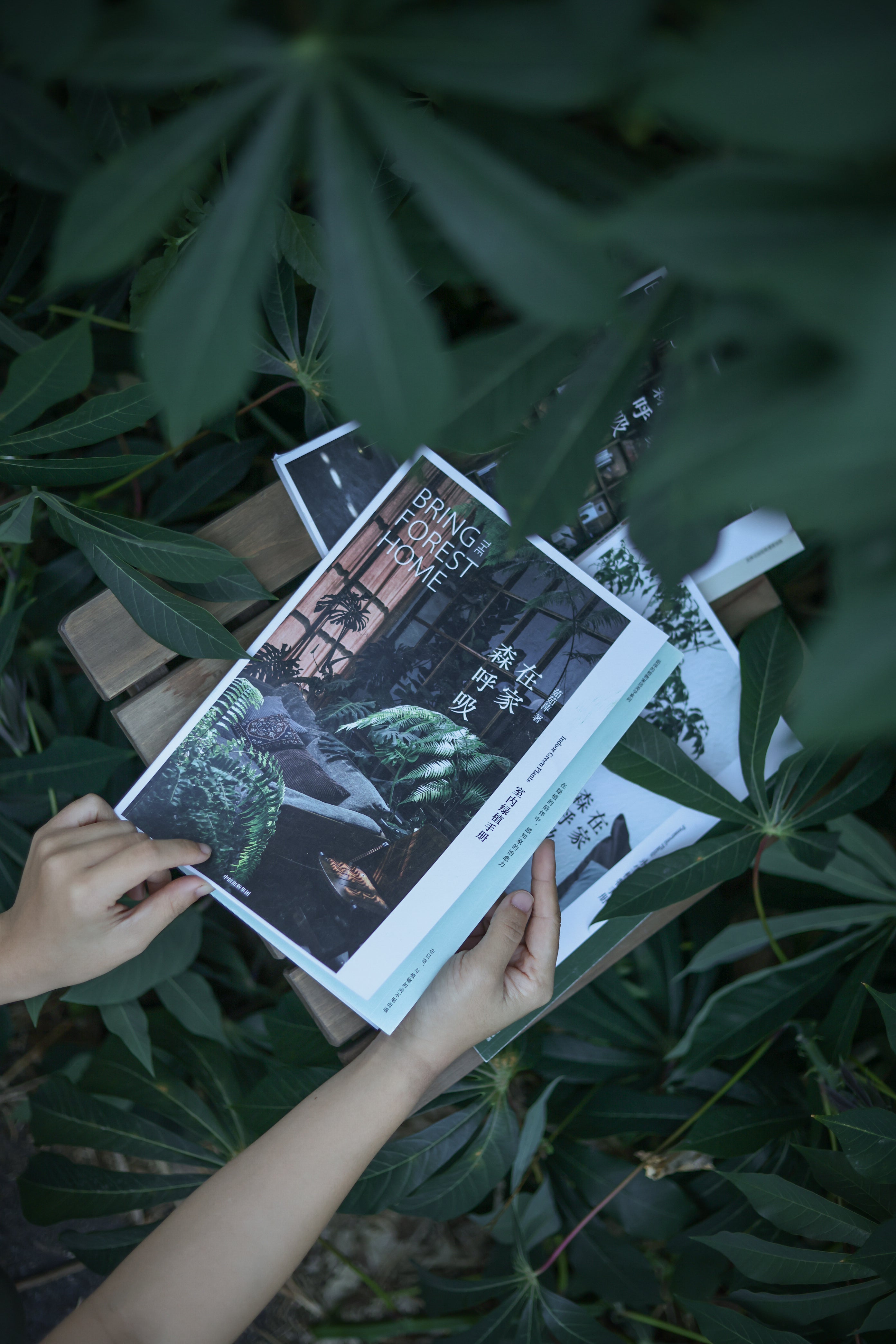 Living with Greenery publication page