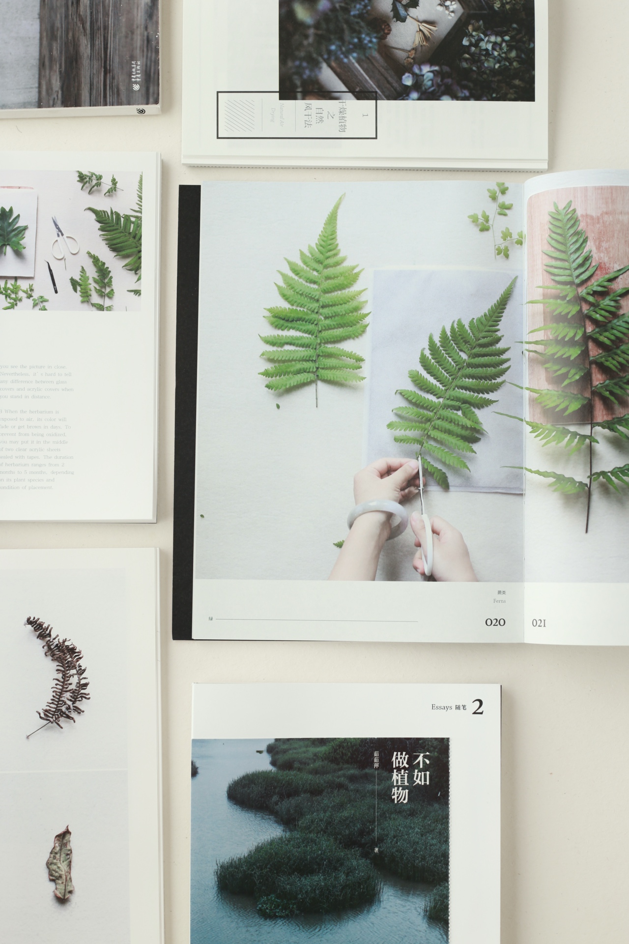 Rooted book spread