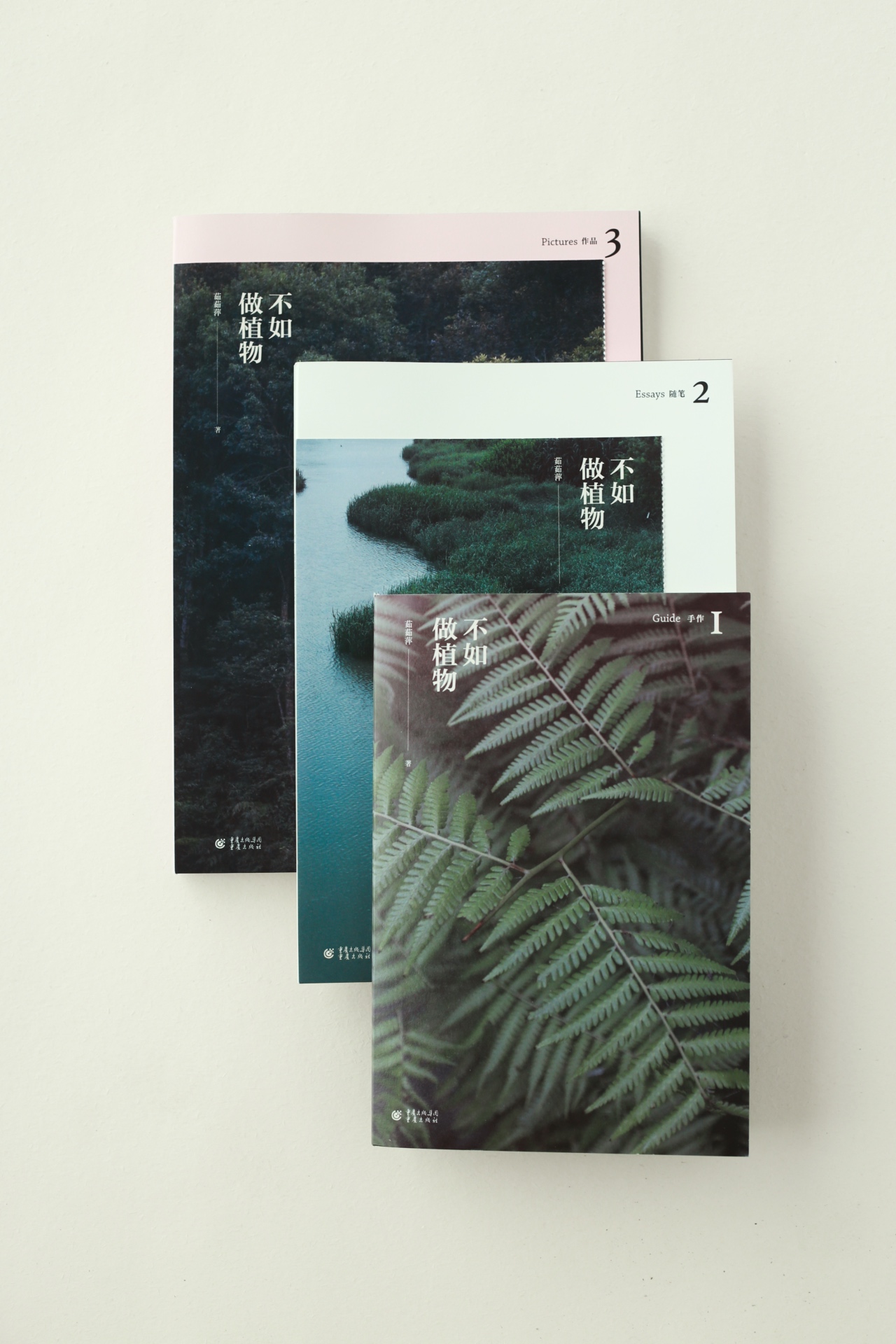 Rooted book cover